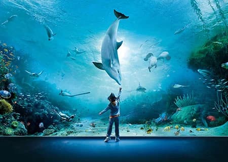 Acquario di Genova