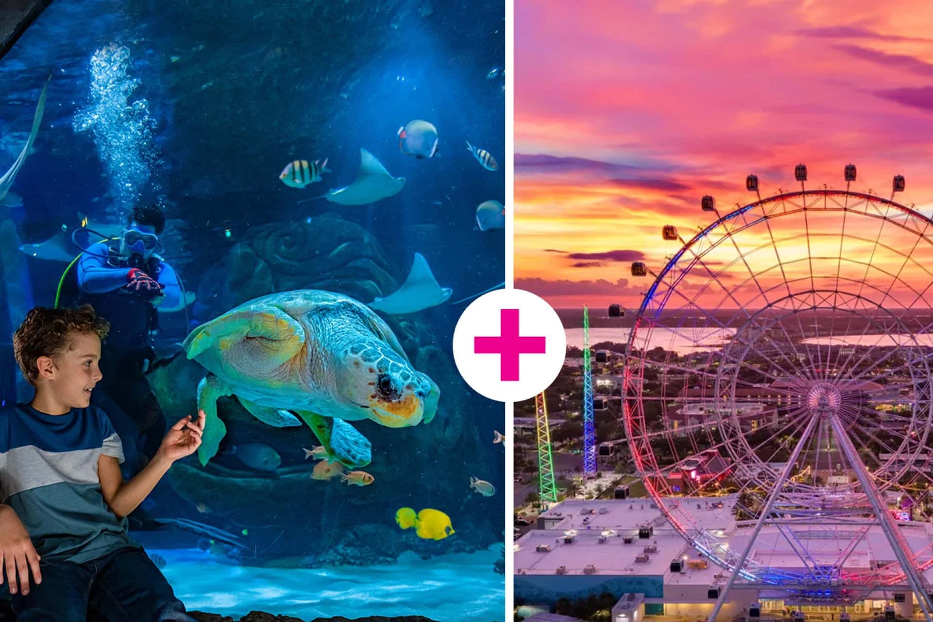 Ingresso e biglietti per Biglietto combinato per l'Orlando Eye e il SEA LIFE Orlando Aquarium