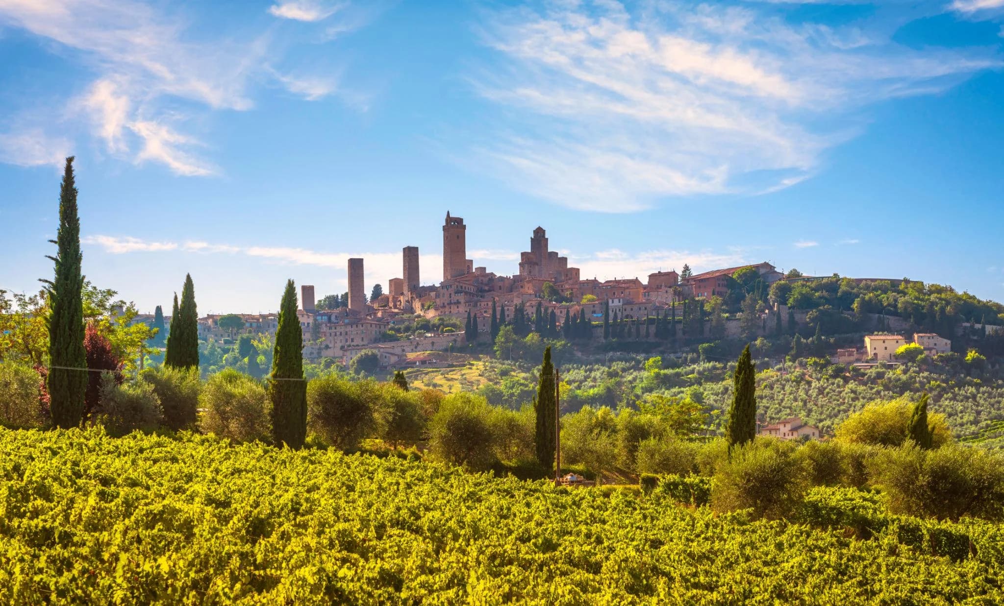 Esperienza Toscana: Pisa, Siena, San Gimignano