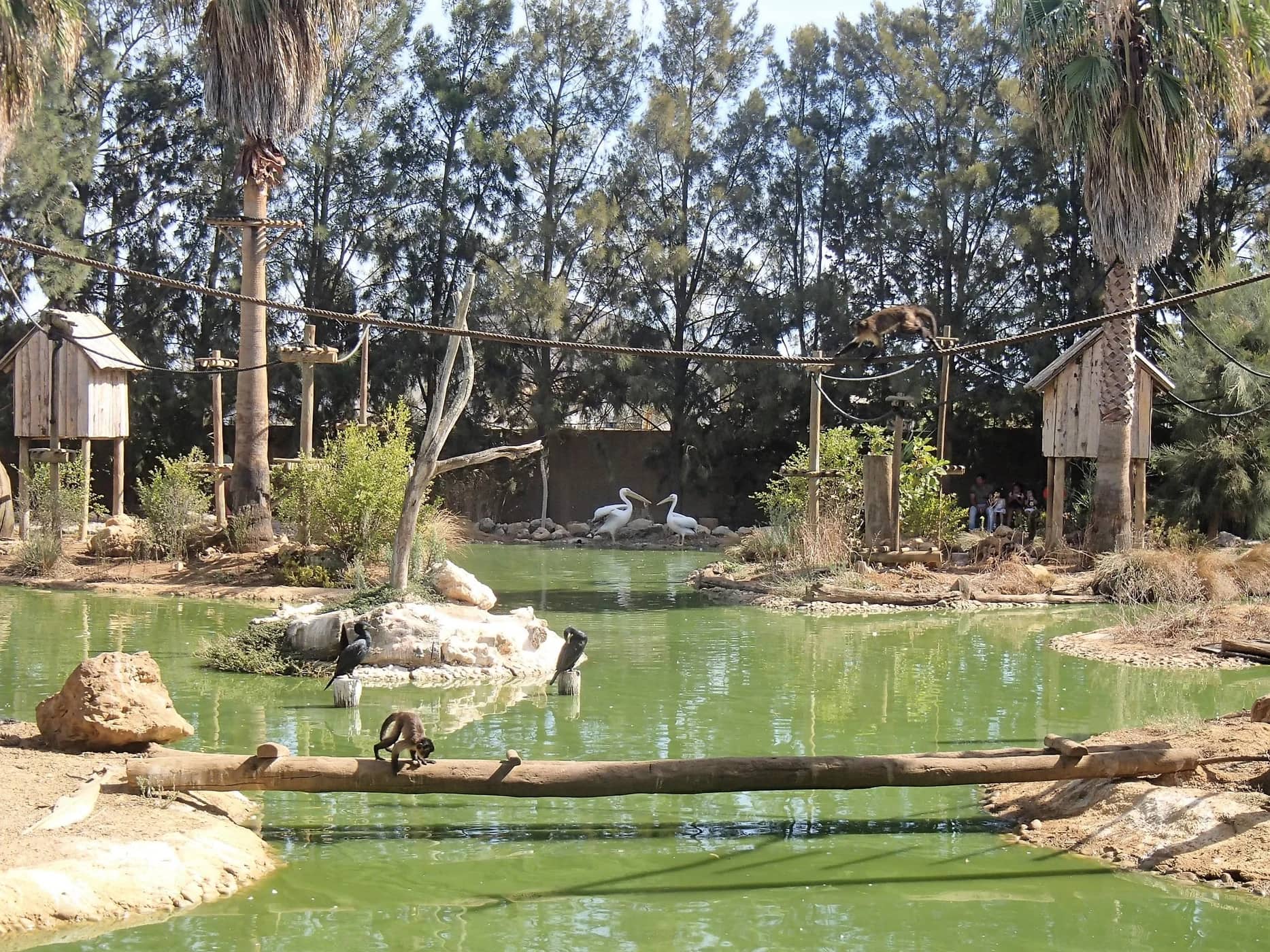 Lagos Zoo