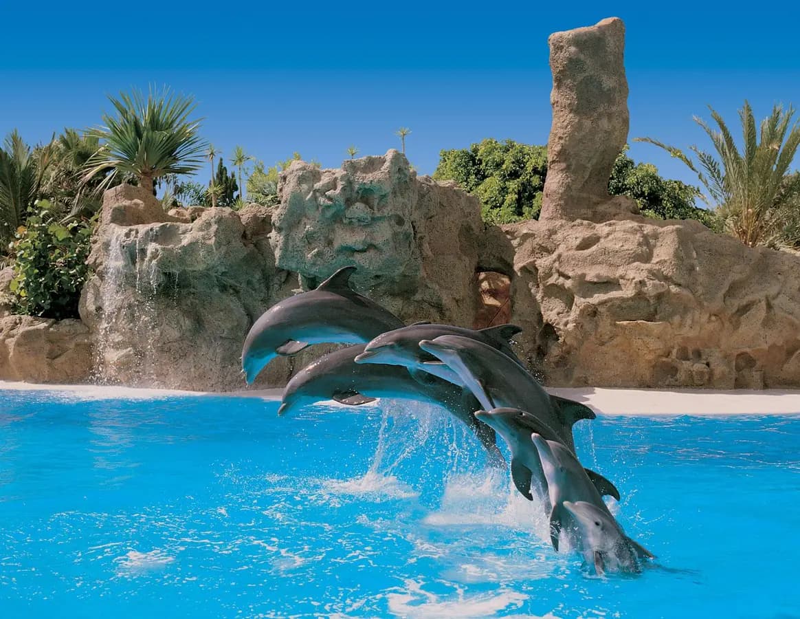 Loro Parque: Biglietto d'ingresso