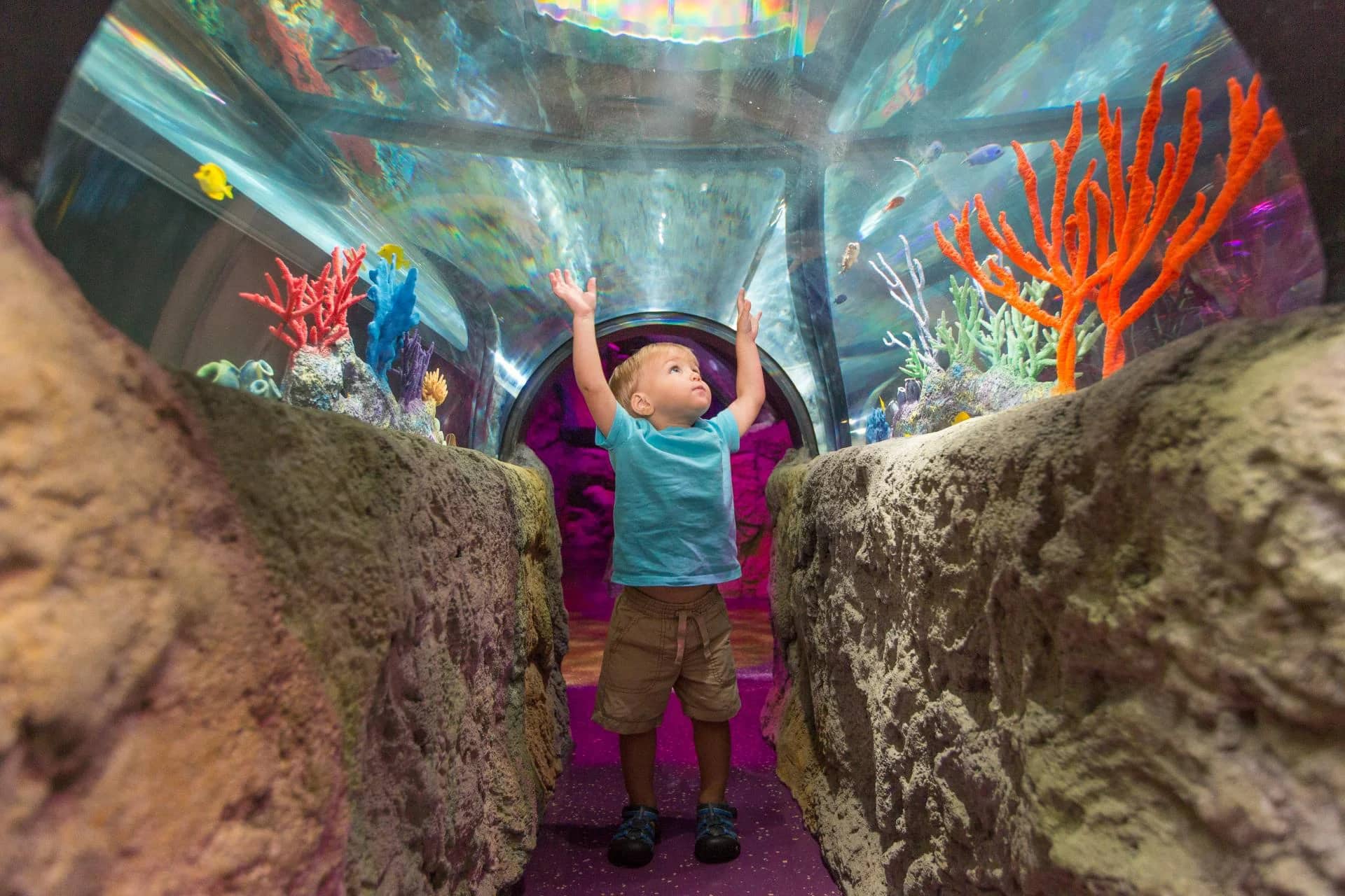 SEALIFE Orlando