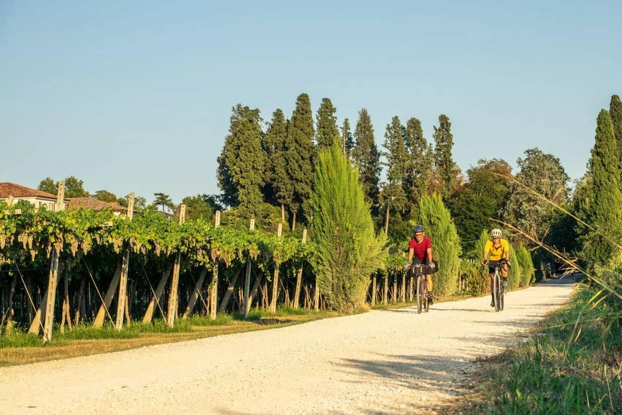 Tour in bicicletta del vino Amarone in Valpolicella