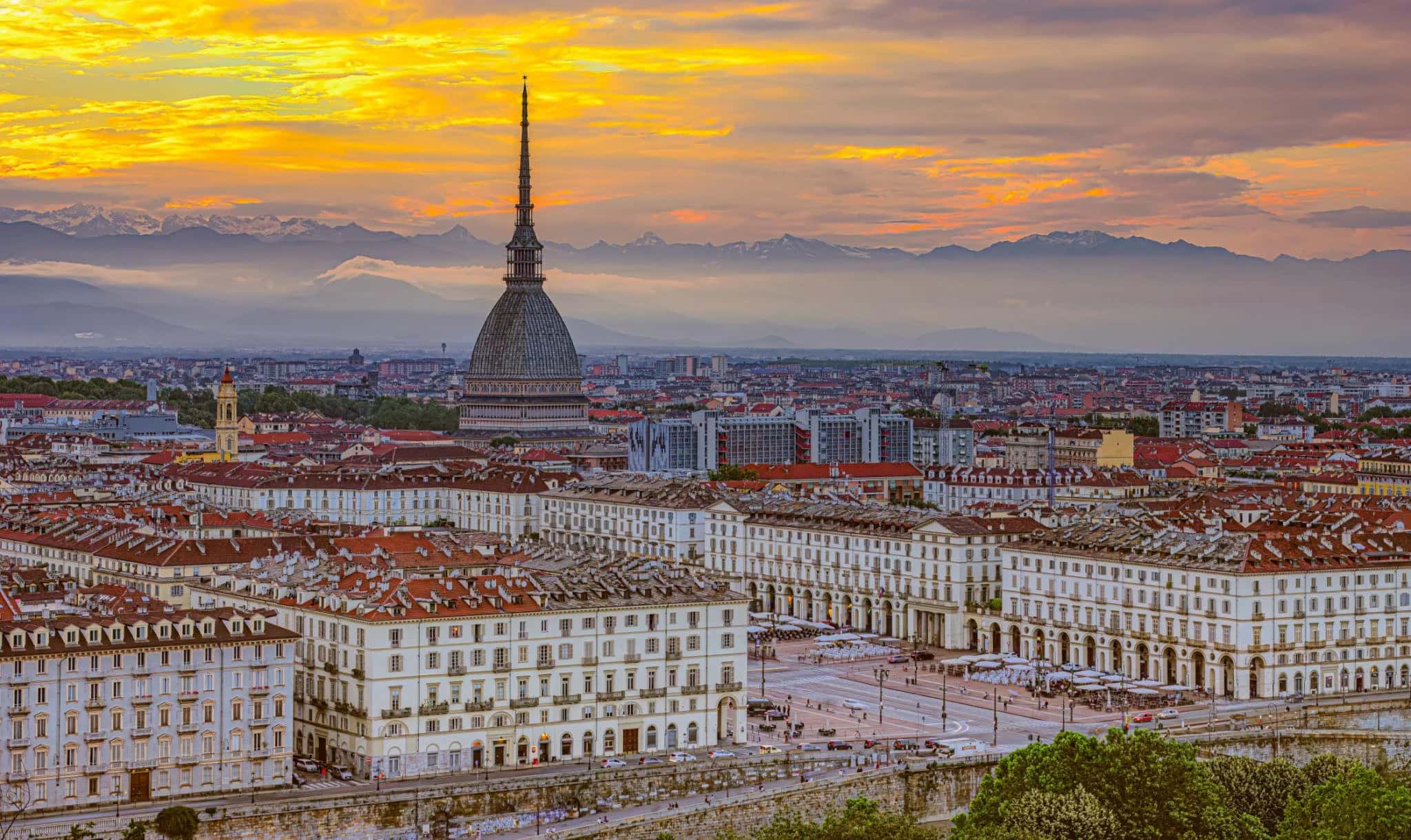Ingresso e biglietti per Visita guidata al Museo del Cinema e Mole Antonelliana