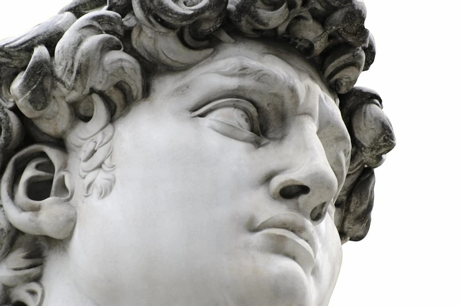 Visita Guidata: Galleria dell'Accademia e Galleria degli Uffizi